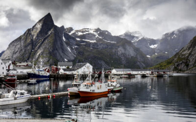 Auswandern nach Norwegen | Café Hyggelig - der Podcast für Skandinavien-Auswanderer